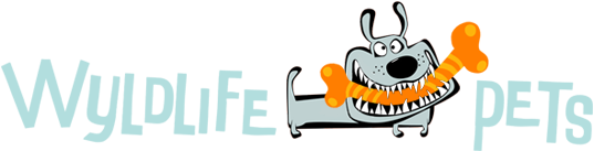 logo-large