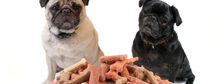 What Is Really In Your Dog Treats